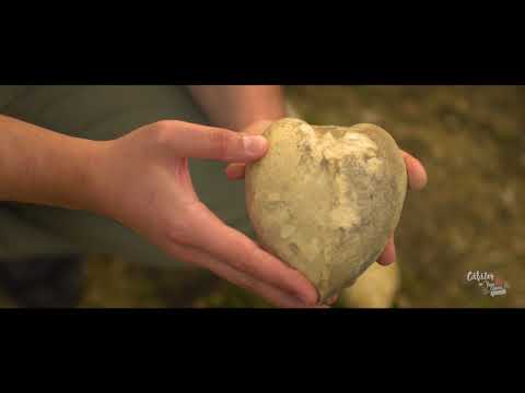 Călător în Țara Călatei - Descoperă Mănăstireni - episod pilot