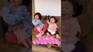 ソファでくつろぎタイム❤️ 【こむこまつり】 #shorts