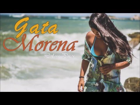 Gata Morena - Lolass Pires