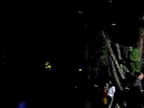 Dave Piccioni @ Villa Torre summer 2004