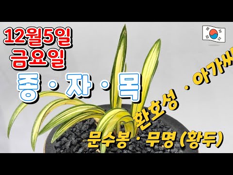 유튜브 썸네일