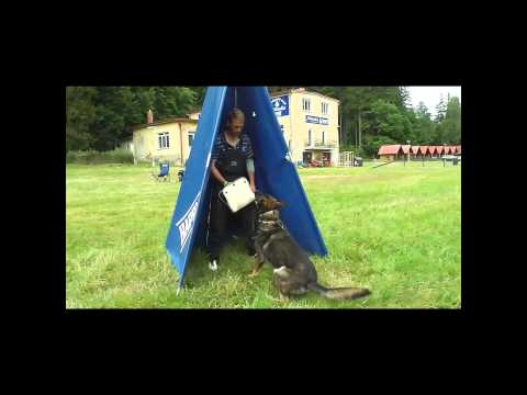 Simba z Ditčina dvora - Defence