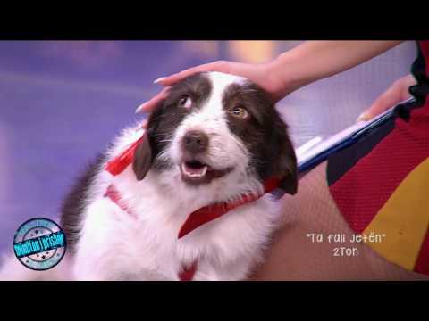 Highlights, E Diell 29/05/2016 - Pa limit (Mimifoni i prishur)