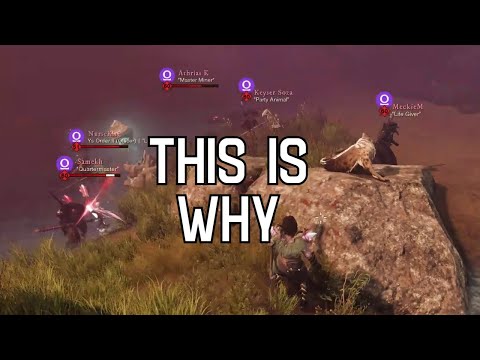 THIS is why I love Open World PVP in New World..
