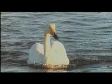 Gabriel Knight 2 : The Beast Within - Gabriel's dream