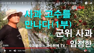 [사과재배]군위군 사과 사과 고수를 만나다 3다이 90% 후지4년생(기꾸8)4*2밀식재배,