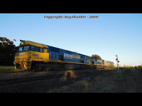 NR6-NR16-G542 - Wingeel (Last One For 2019)