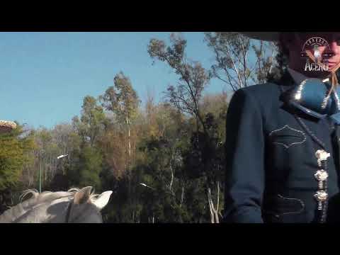 Charros de Acero La Liga F1 Copa San Luis Potosí - Campo Azul vs Perron QH