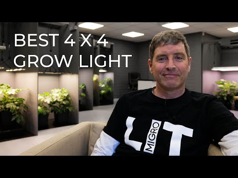 , title : 'Best value grow light for a 4 x 4 or 120cm x 120cm grow tent'