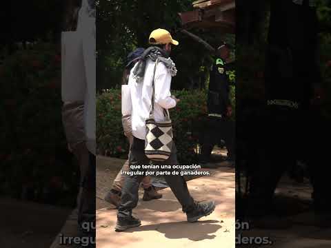 Recuperación de 288 hectáreas en el municipio de Buenavista, Córdoba.