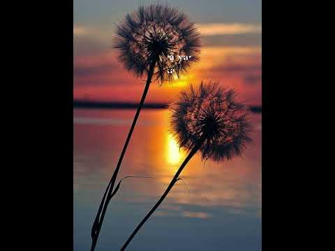 MENJULANG KASIH - ZAID