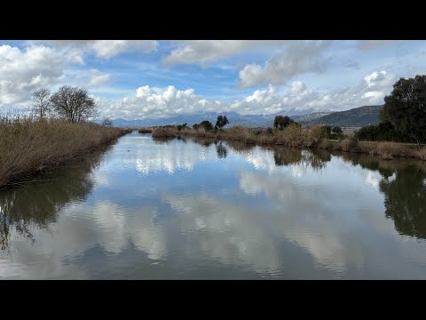 Tea with a Druid 391: I wish I had a river I could skate away on