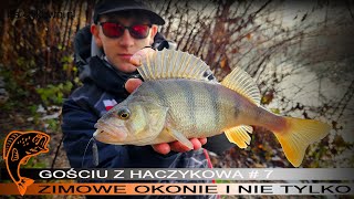 Zimowe okonie i nie tylko. #Vlog 7 - "Gościu" z Haczykowa. 💪💥