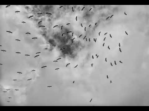 LUCABEZO - SMOKING&DRINKING