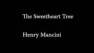 The Sweetheart Tree Music Video