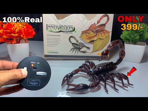 RC Realistic Innovation Scorpion Prank Gadget Unboxing & Testing - MKR Modified