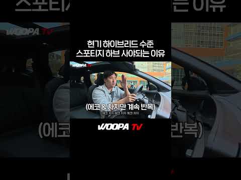 스포티지 vs EV5 이게 비교가 되나?