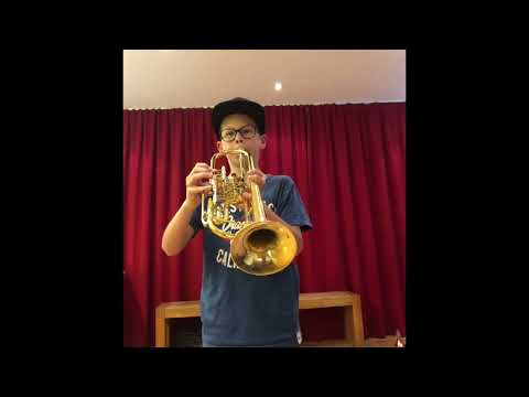 Gansch Horn Challenge - Paul Kostner (age 11)