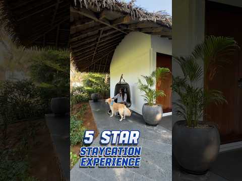 📍 Sheraton Grand resorts & spa, ECR.  #petfriendlyresort #vacation #ecrresort #dogs #foodie #ipl