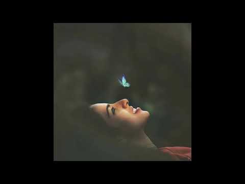 Philippe Sarde - On Voit Ce Soir