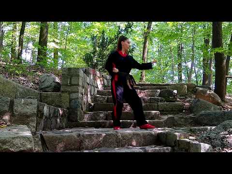 ETS Forms (2): Saju Makgi ETS (Essential Taekwondo System) Version