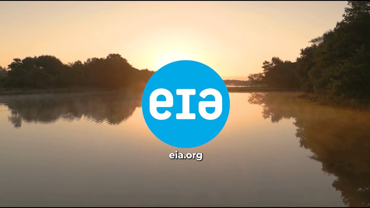 Happy New Year from EIA US!