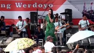 Download lagu Story WA Cinta Hitam cover Annisa Rahma NEW PALLAP... mp3