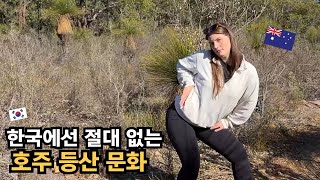 낮가리는 ISTJ가 산에서 호주 등산객들과 인사하면 생기는 일..! | 국제커플 퍼스 하이킹 VLOG | International Couple