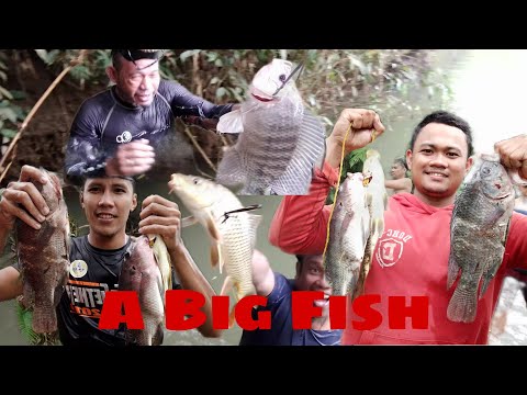 E.p2 Spear Fishing in river Big Fish| Philippines