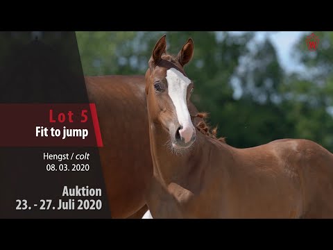 Westfälische Online Auktion 23. - 27. Juli: Lot 5 Fit to jump Hengst v. For Treasure VDL - Congress