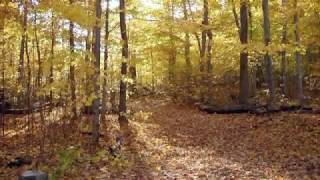 Un retard / Claude Léveillée / Photographie de Robert Campeau
