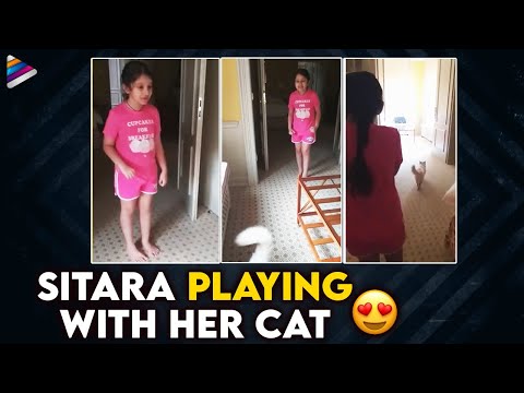 Sitara Ghattamaneni Playing With Her Cat | Sitara Latest Cute Video | Mahesh Babu | Telugu FilmNagar