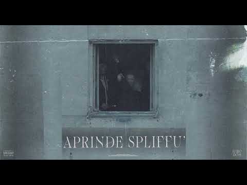 Koro x DOM - Aprinde Spliffu' (Audio)