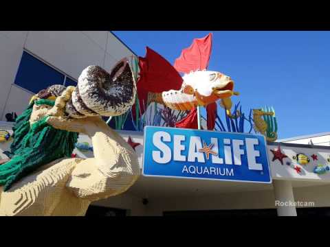download lagu mp3 mp4 Sea Life Los Angeles, download lagu Sea Life Los Angeles gratis, unduh video klip Sea Life Los Angeles