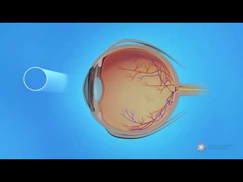 Peripheral Vision and Central Vision in the Retina