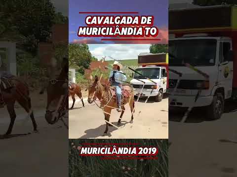 Cavalgada de Muricilândia Tocantins 2019