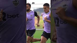 GALO FOCADO NO CEARÁ!