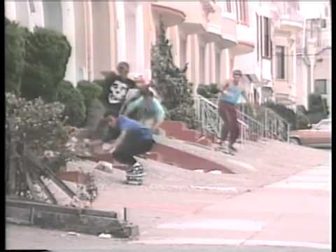 San Francisco - Animal Chin