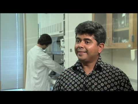 Combating West Nile Virus and other Tropical Diseases