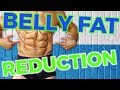 BELLY FAT REDUCTION: How to Remove (Step-By-Step Breakdown)