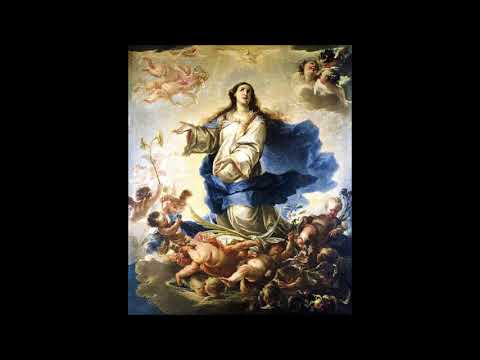 In Assumptione Beatae Mariae Virginis - INTROITUS