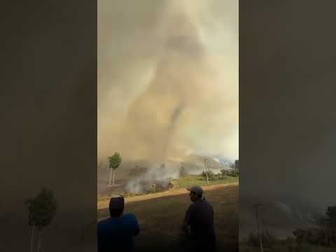 Impactantes "Tornados de humo" en medio de incendios forestales en Purén | TVN Chile