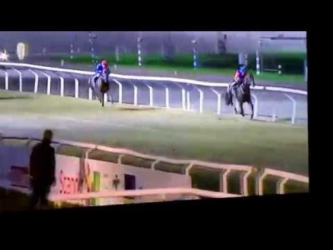 Hurricane Red beaten at Jagersro! Energies El Gigante and P-A Graberg take the spoils