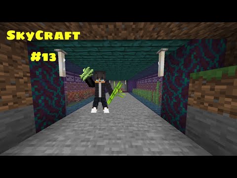 FARM DI CANNE DA ZUCCHERO E BAMBU' 1.16.5 "SkyCraft #13" - Minecraft Ita