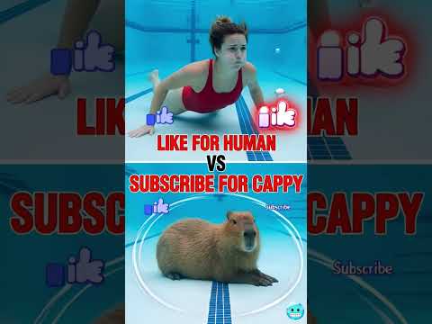 ¿Quién puede aguantar la respiración durante más tiempo?  #capybara #shorts
