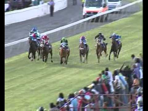 Weekend International 2011: 7e course - Powder Snow (Brown)