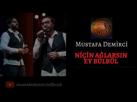 Niçin Ağlarsın Ey Bülbül - Mustafa Demirci