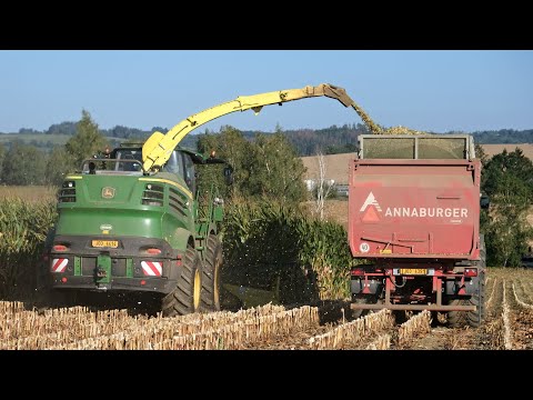 Sklizeň kukuřice na Vysočině | Rok zemědělce