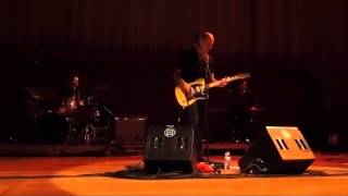 Dominique A Contre un arbre