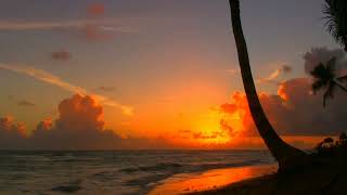 Download lagu Video Background Aesthetic Senja Di Pantai | Mentahan Story Wa Estetik 30 Detik, Deburan Suara Ombak mp3